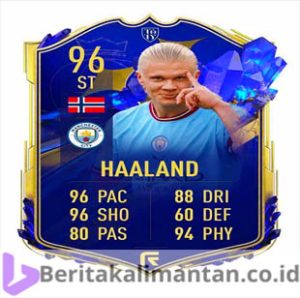 Player Cards Fifa Soccer